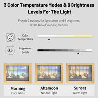 Homey LED Wall Painting
