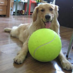 Giant Tennis Ball Dog Play Toy