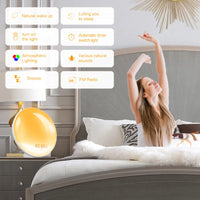 Gentle Sunrise/Sunset Sleep Aid Alarm Clock