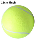 Giant Tennis Ball Dog Play Toy