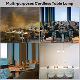 Stylish Modern Indoor/ Outdoor Rechargeable Table Lamp
