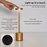 Stylish Modern Indoor/ Outdoor Rechargeable Table Lamp