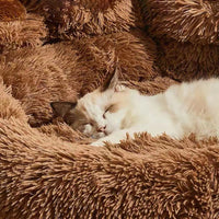 Bear Paw Dog Bed
