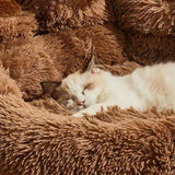 Bear Paw Dog Bed