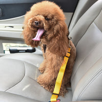 Adjustable Pet Leash Safety Belts