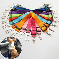 Adjustable Pet Leash Safety Belts