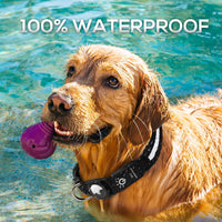 Airtag Led Waterproof Dog Collar