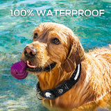 Airtag Led Waterproof Dog Collar