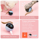 Electronic Kitten Ball