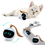 Electronic Kitten Ball