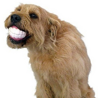 Super Teeth Dog Chew Ball